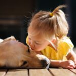 Creating a Safe Deck Environment for Kids and Pets