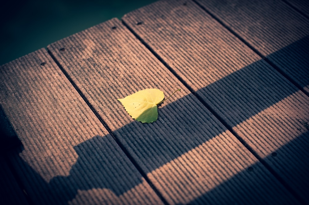 Single Yellow Leaf on Wooden Deck with Shadows